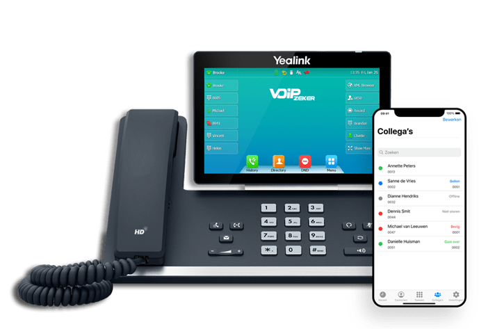 VoIP zakelijk bellen over internet
